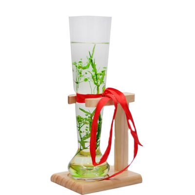 Craft Beer Glasses With Wooden Stand