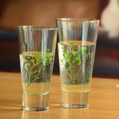 Thick Bottom Heavy Duty Crystal Highball Tumblers