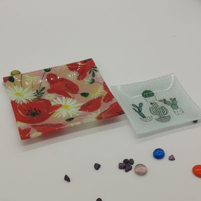 qualità Personalizzare il colore nei piatti da cena in vetro quadrato cactus fabbrica