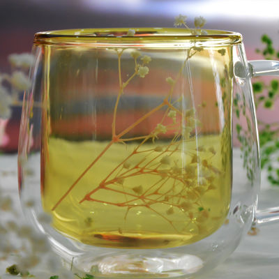 qualità Bicchieri per bevande a doppio strato di grande capacità fabbrica