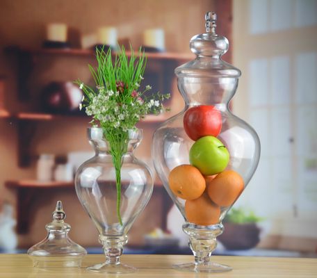 qualità Canistero di vetro a maniglia per uccelli con coperchio fabbrica